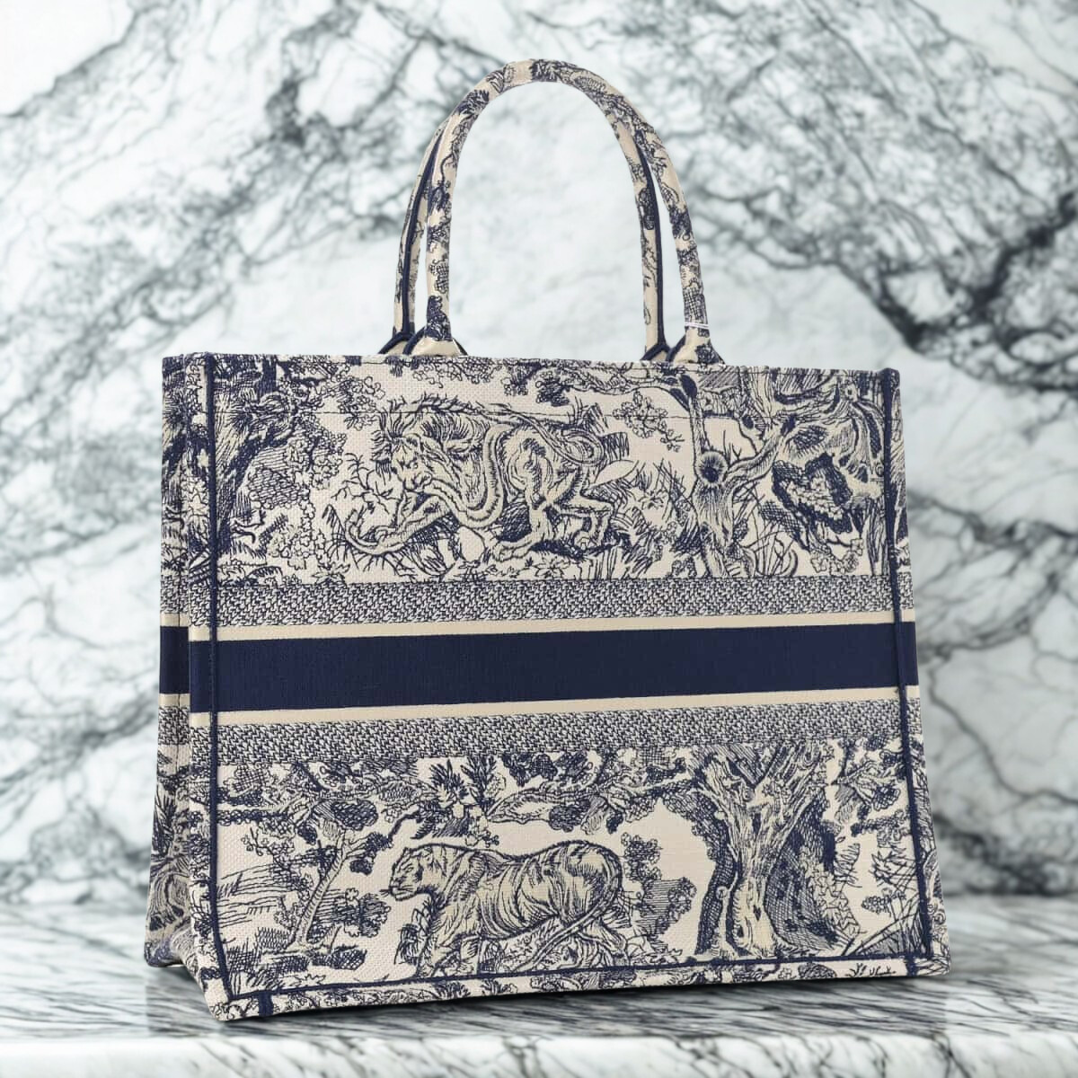 LARGE DIOR BOOK TOTE BAG